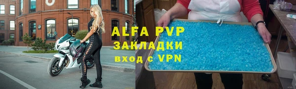 стаф Козельск