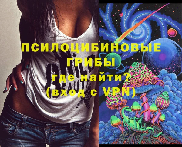 скорость Козловка