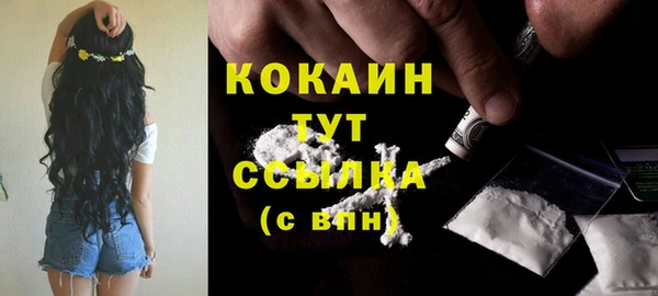 стаф Козельск