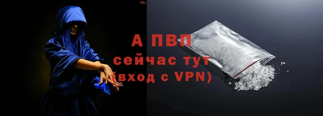 стаф Козельск