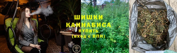 стаф Козельск