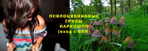 скорость Козловка
