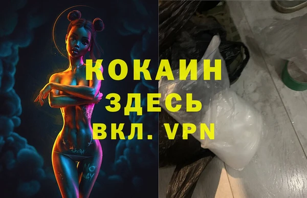 стаф Козельск