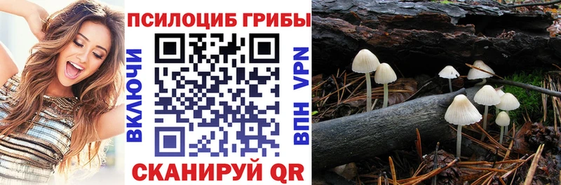 Псилоцибиновые грибы Magic Shrooms  Купить  Жуков 